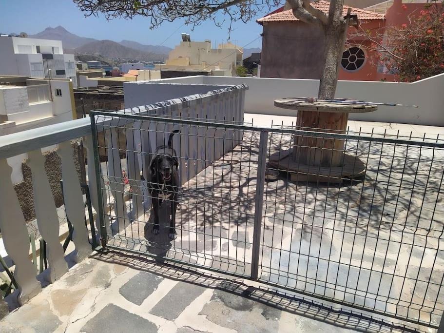 Vivenda Com Patio, No Coracao Do Mindelo 빌라 외부 사진